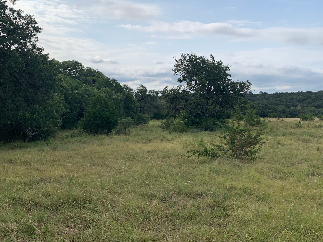 part of edmond ranch: 000 FM 32, Blanco, TX 78606